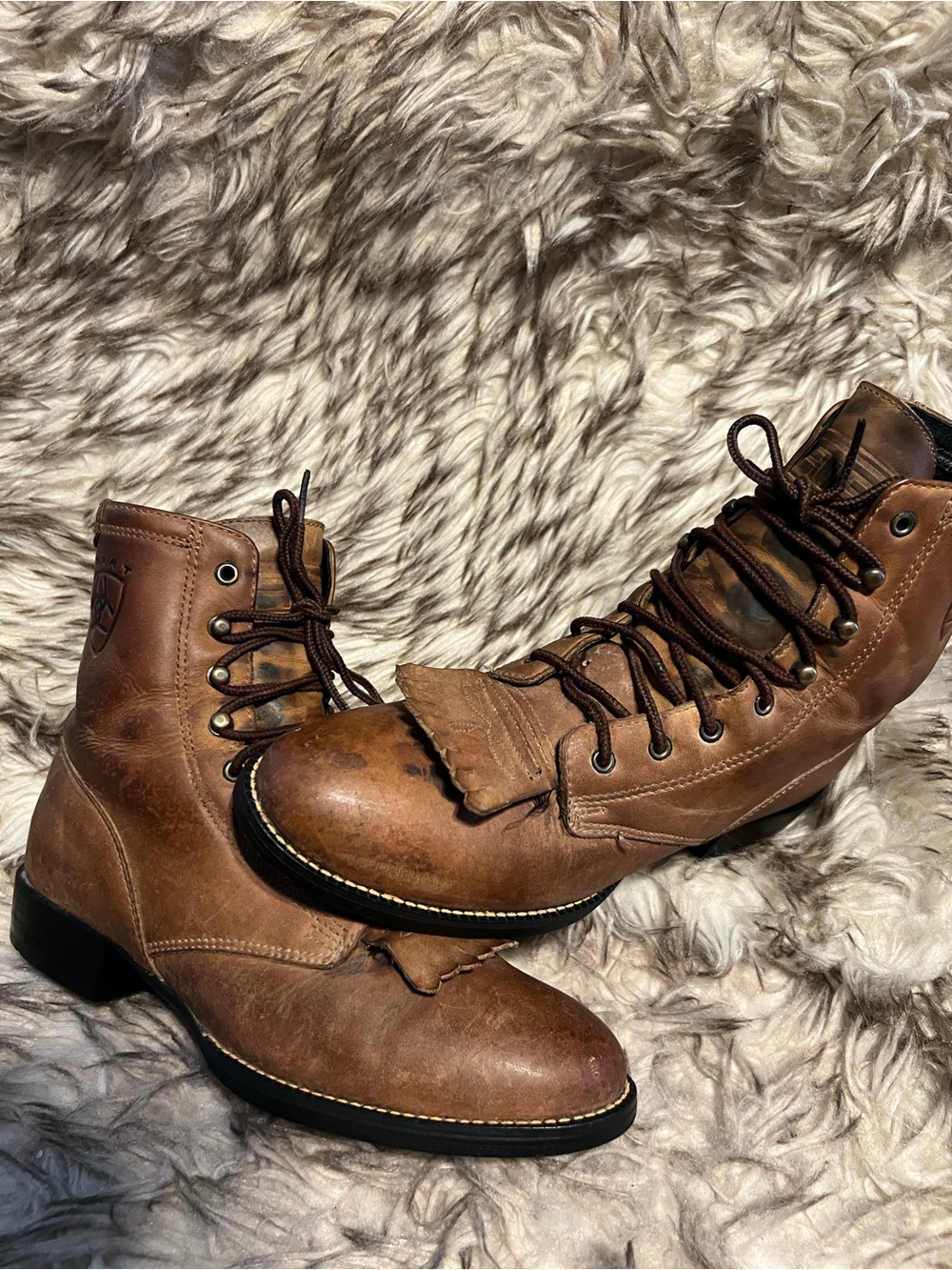 Ariat Women Brown Leather Lace-Up Ankle Boots with Black Soles Sz 6 B